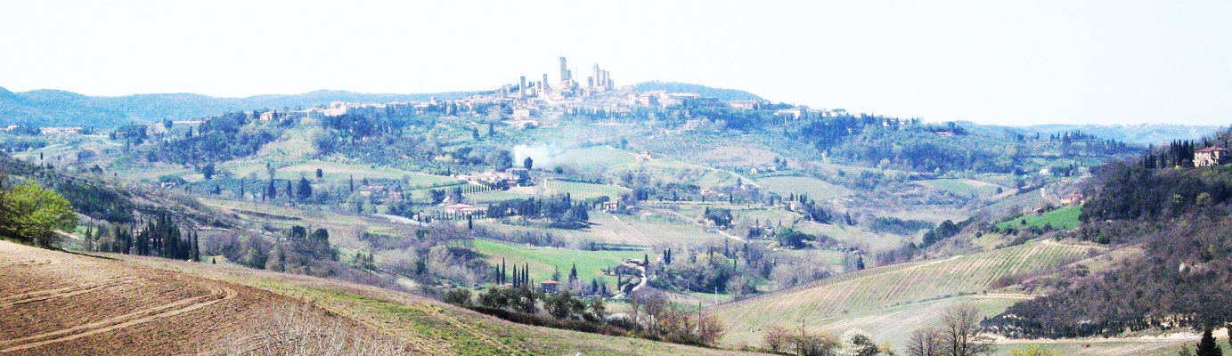 San Gimignano and its towers dominate the Val d'Elsa countryside with its vineyards.
San Gimignano is famous for its Vernaccia, considered one of Italy's finest white wines since the Renaissance.